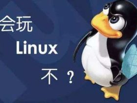 历数2017年五大Linux痛点